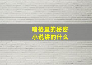 暗格里的秘密 小说讲的什么